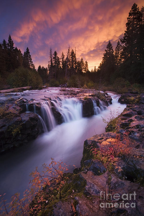 Waterfall Photograph - Rogue River Gorge by Sean Bagshaw