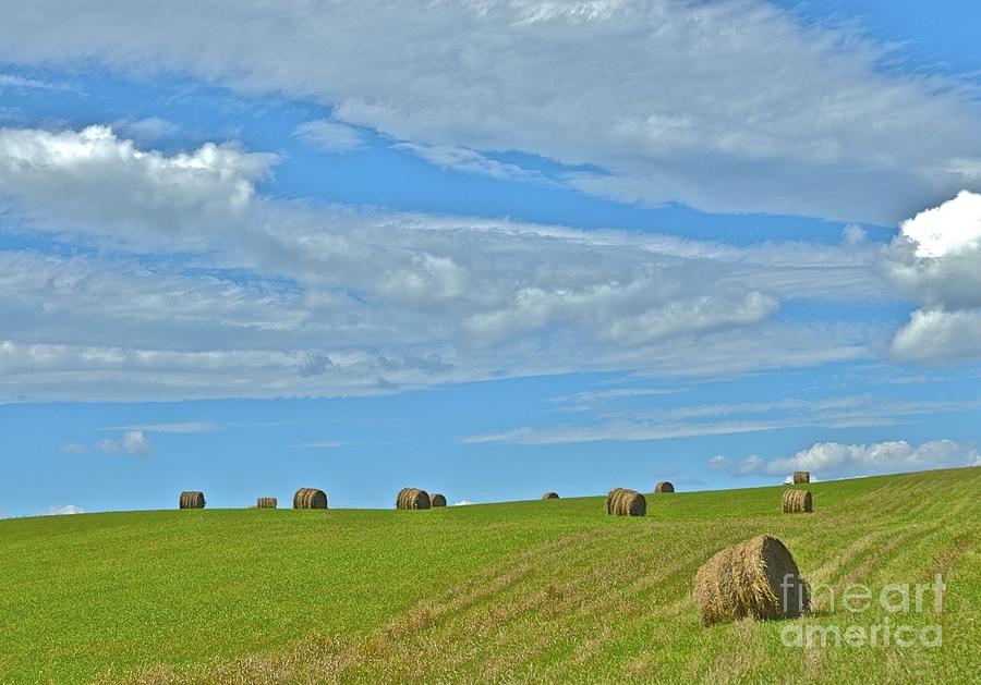 Landscape Photograph - Roll in the Hay by Tracy Rice Frame Of Mind