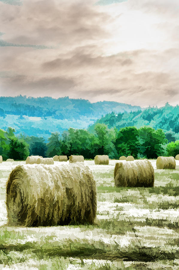 Abstract Photograph - Rolled Bales by Mick Anderson