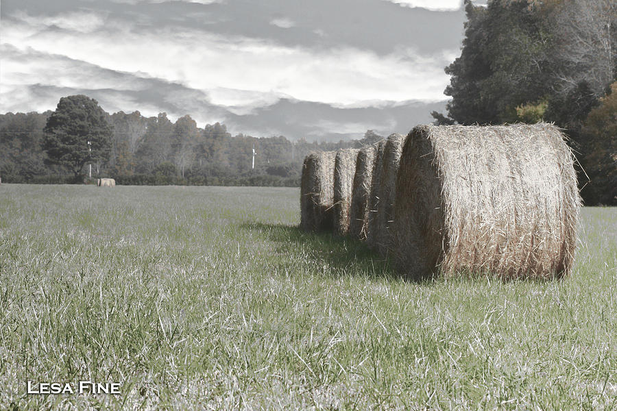 Rolled Bales of Hay  Vintage Art 1 Photograph by Lesa Fine