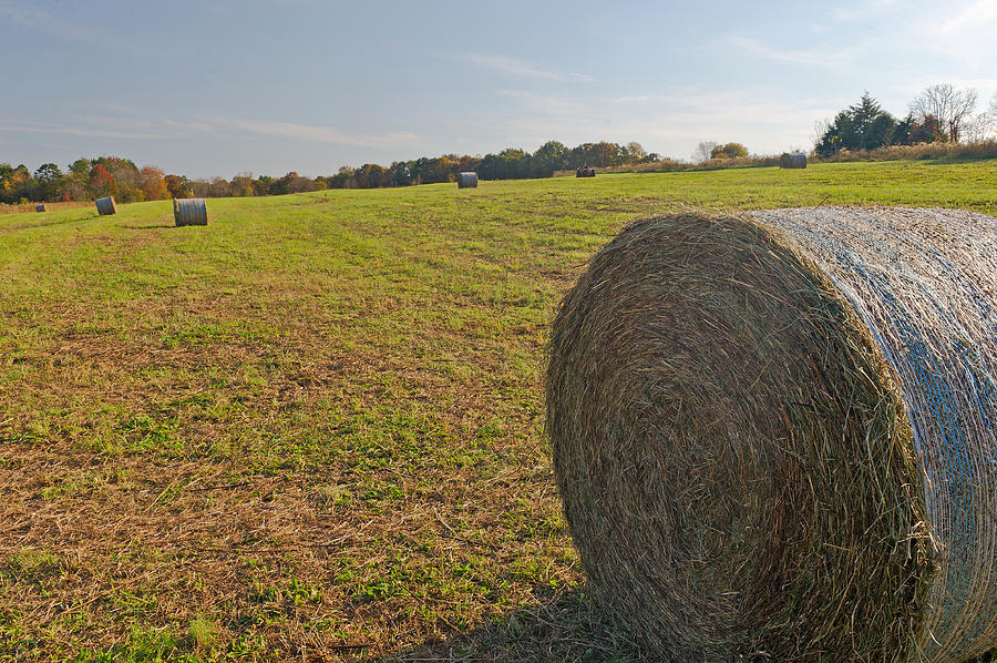 Rolled Hay Photograph by Willie Harper