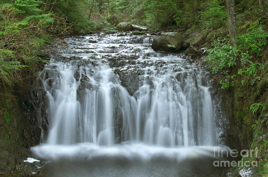Waterfall Photograph - Rolley Lake Falls by Sharon Talson
