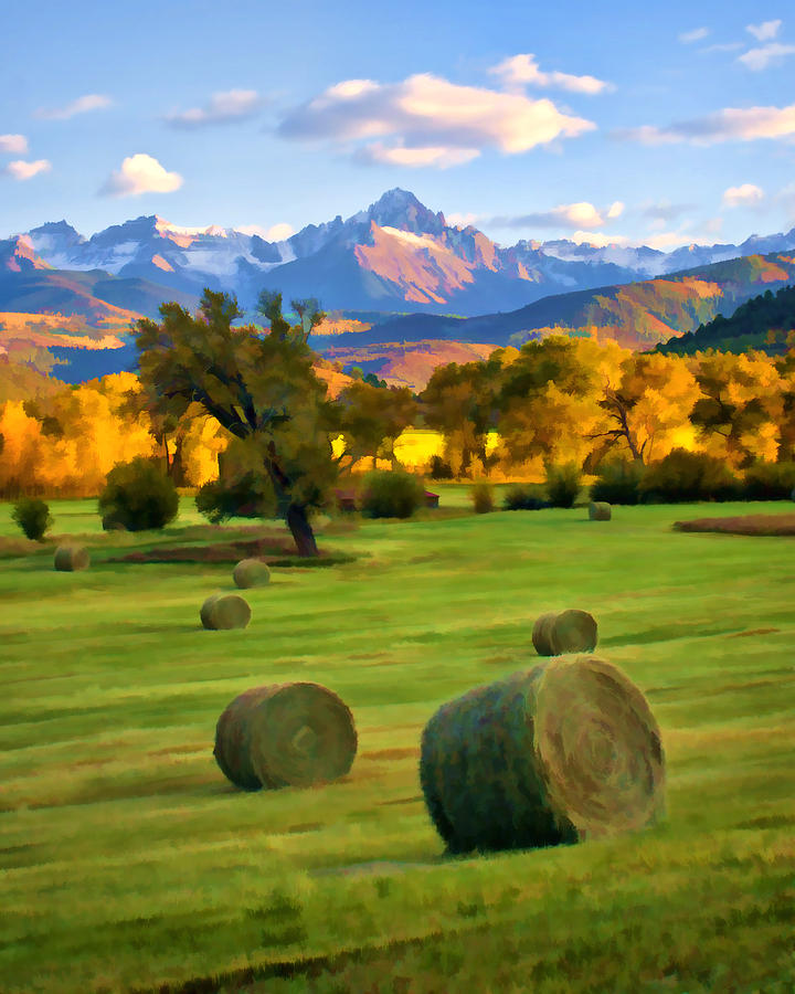 Rollin in the Hay Digital Art by Rick Wicker