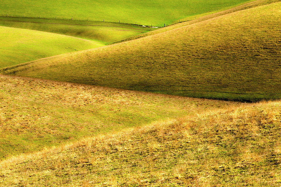 Rolling Farmland Southland Photograph by Oliver Strewe