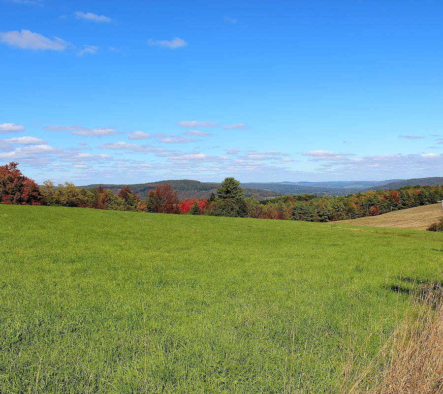 Rolling Fields Photograph by Brian Lucia - Fine Art America