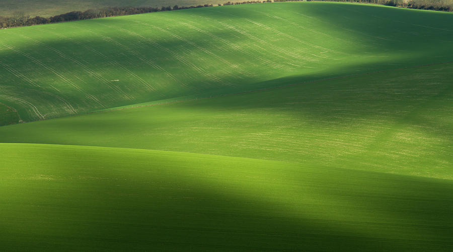 Rolling Fields In South Downs National Photograph by © Chaitanya Deshpande