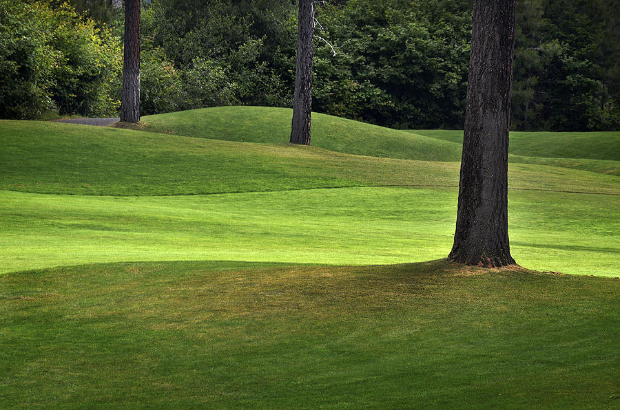 Golf Photograph - Rolling Green Fairways by Dave Dilli