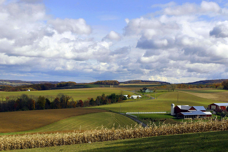 Rolling Hills In Farmland by Gene Walls