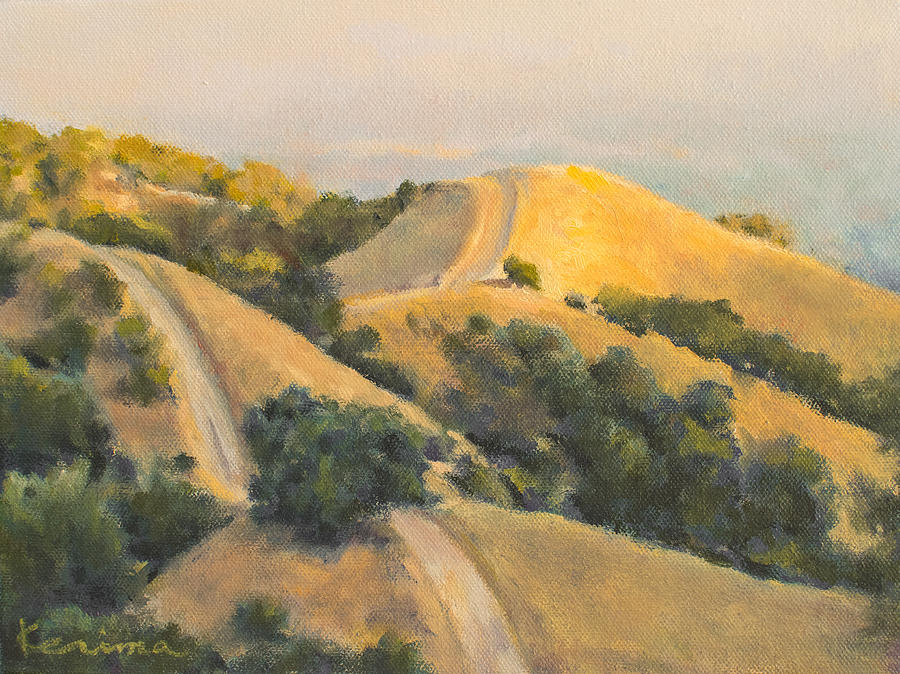 Rolling Hills Painting by Kerima Swain