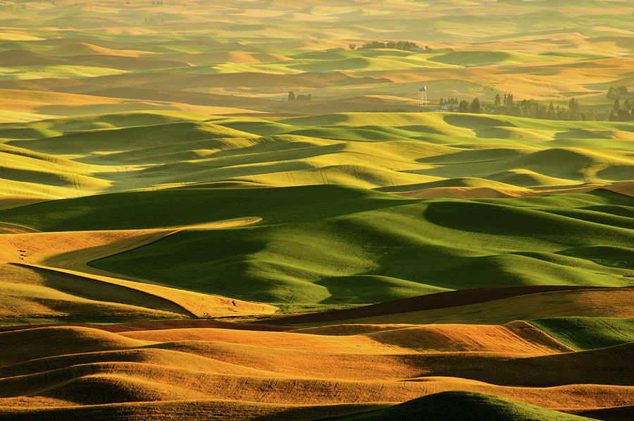 Rolling Hills Landscape by Noppawat Tom Charoensinphon