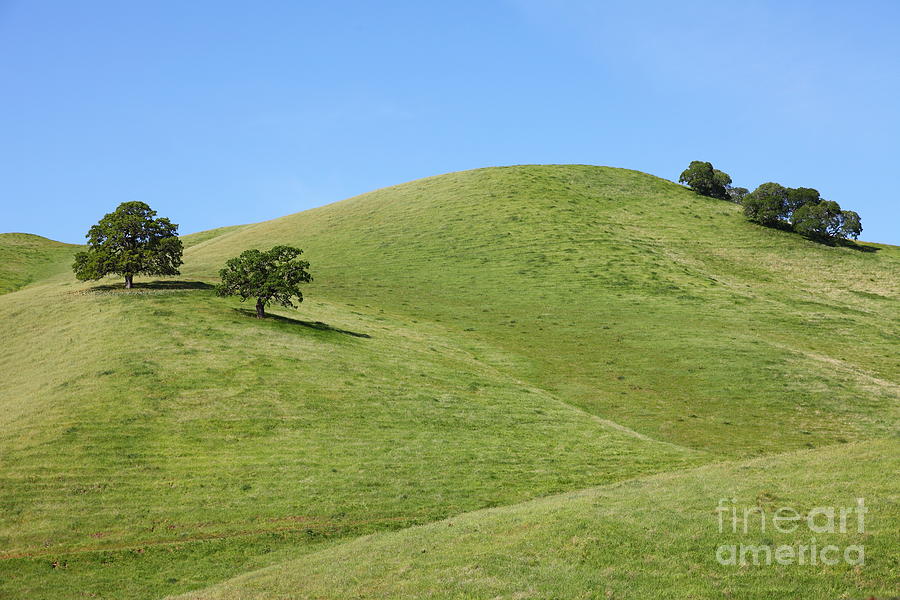 Rolling Hills Landscape of The Black Diamond Mines in Antioch California 5D22279 Photograph by Wingsdomain Art and Photography