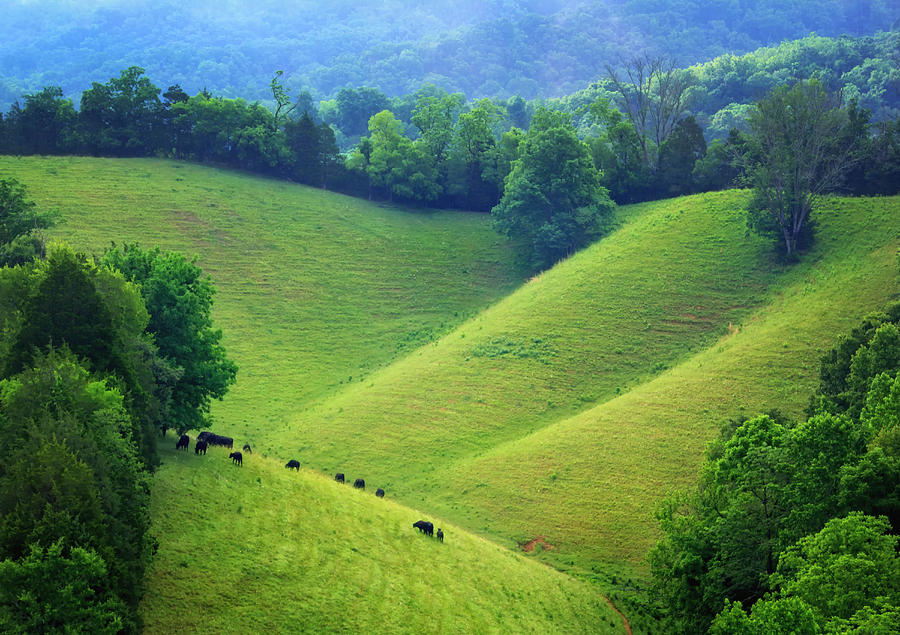 Rolling hills of Tennessee Photograph by Carolyn Derstine