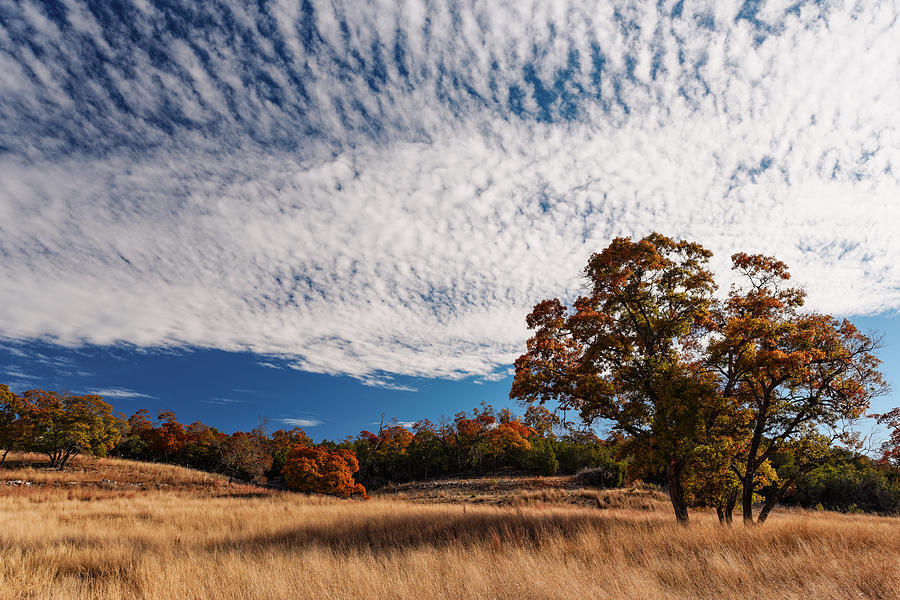 Fall Photograph - Rolling Hills of the Texas Hill Country in the Fall - Fredericksburg Texas by Silvio Ligutti
