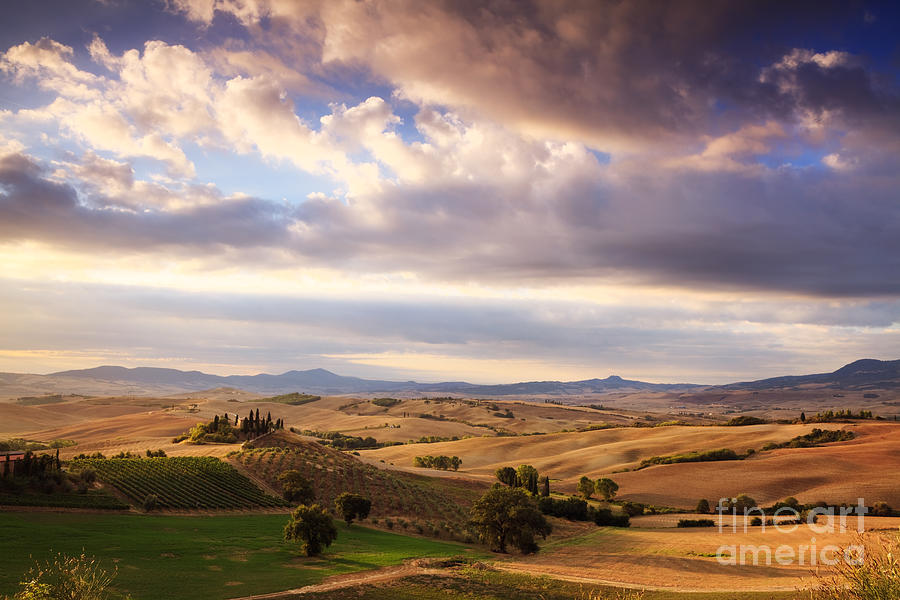 Rolling hills of Tuscany Photograph by Matteo Colombo
