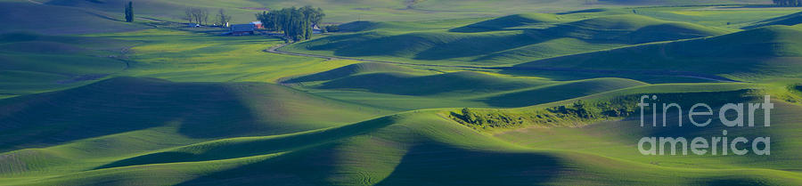 Rolling Hills Pano Photograph by Idaho Scenic Images Linda Lantzy