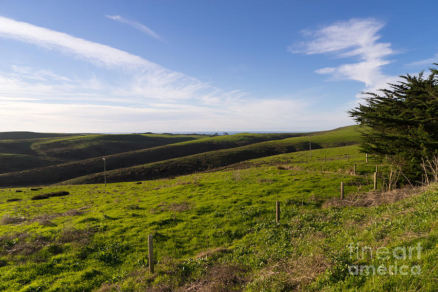 Rolling Landscape Hills of Point Reyes National Seashore California DSC2411 Photograph by Wingsdomain Art and Photography