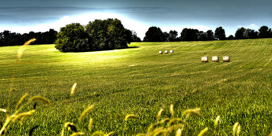 Farm Photograph - Rolling Pastures by CE Haynes