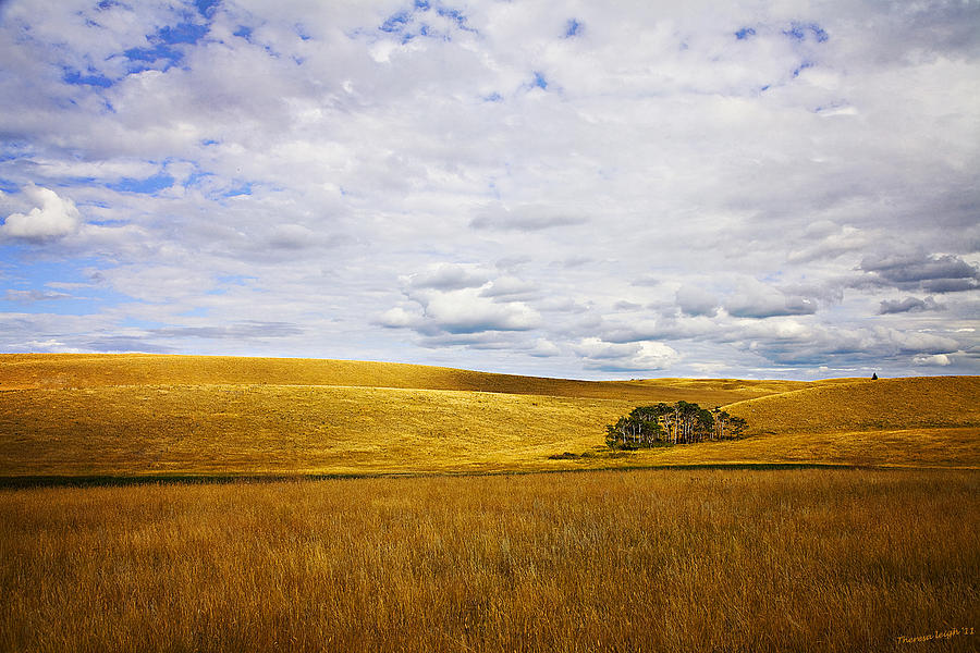 Rolling Prairie Photograph by Theresa Tahara