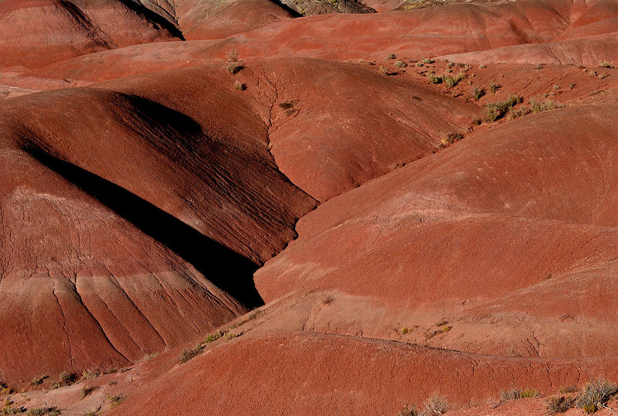 Rolling Red Hills Photograph by Nadalyn Larsen