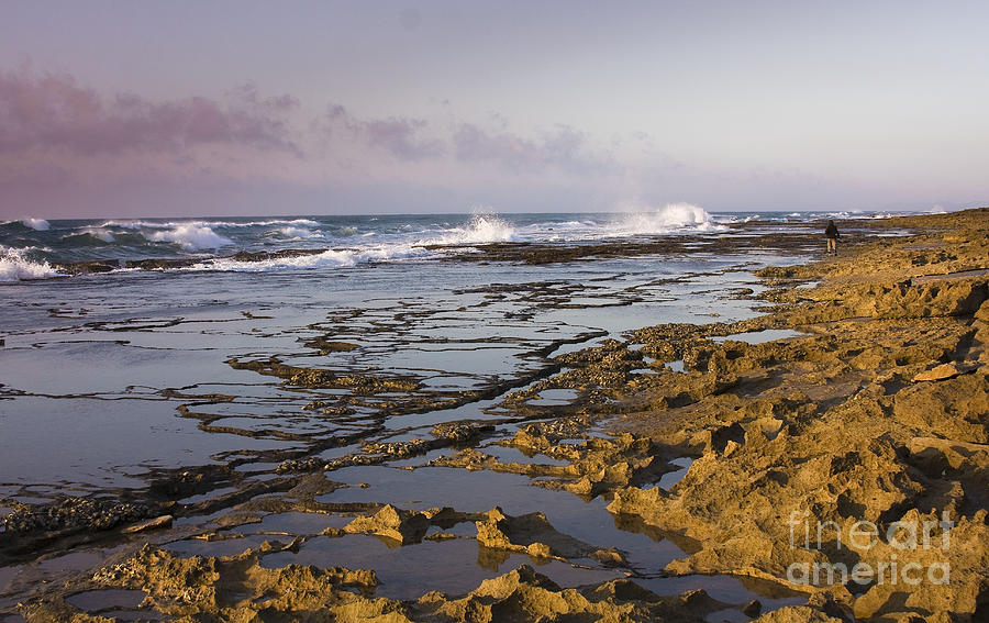 Rolling Tide Photograph By Christina Gupfinger Fine Art America