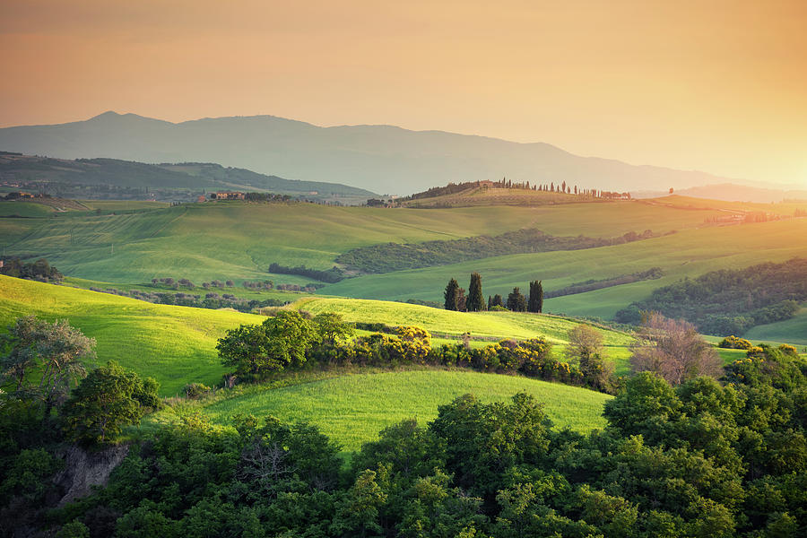 Rolling Tuscany Landscape Photograph by Borchee