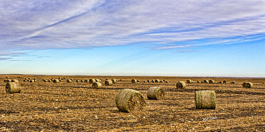 Rolls of Hay Photograph by Bill Kesler