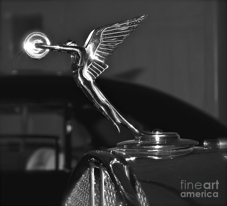 Hood Ornament in black and white Photograph by Pamela Walrath