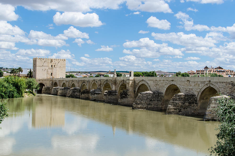 Roman bridge of Cordoba Photograph by AM FineArtPrints