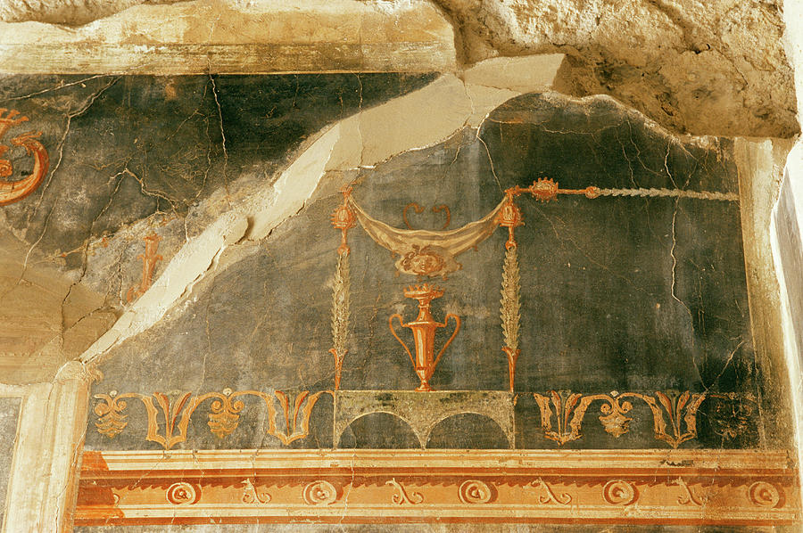Roman Fresco Photograph by Pasquale Sorrentino/science Photo Library