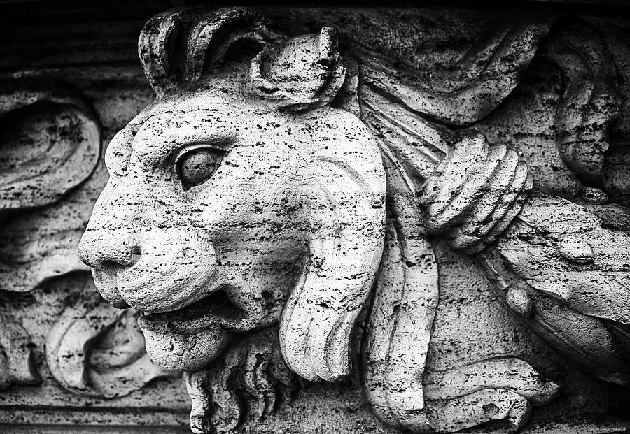 Roman Lion Photograph by Ryan Wyckoff
