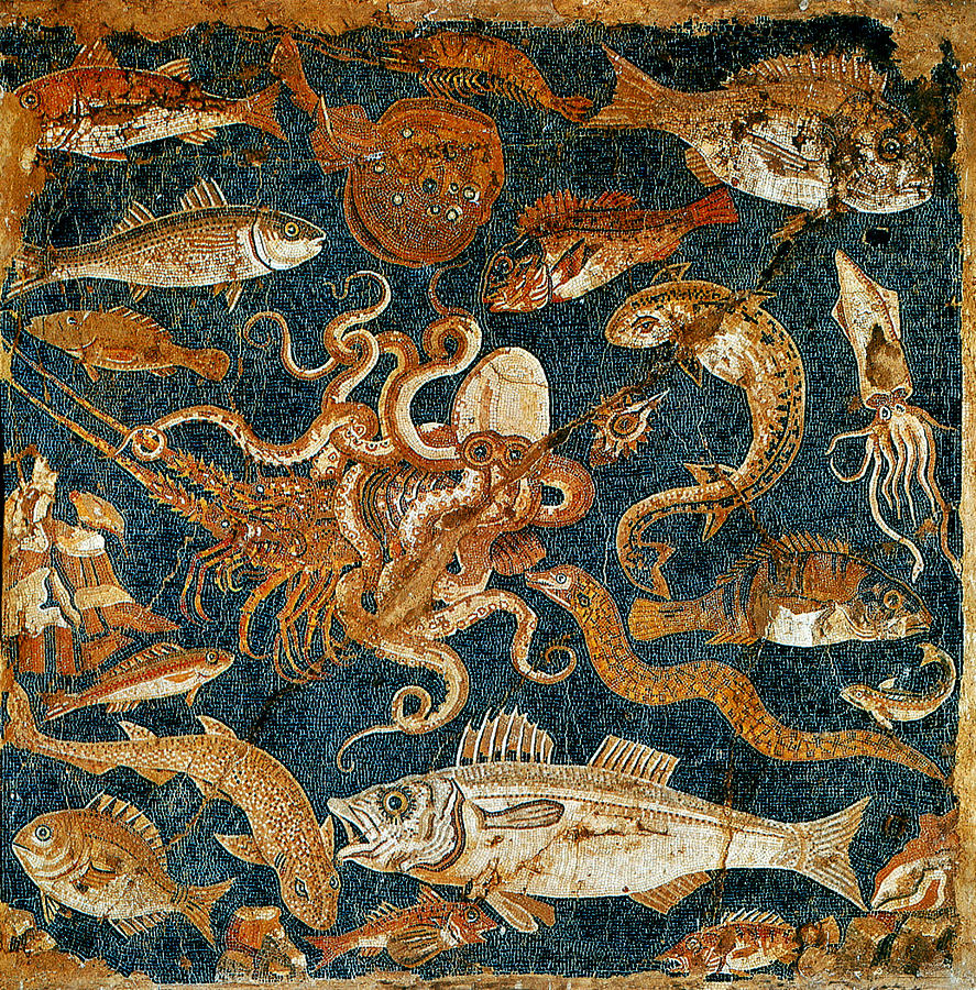 Roman Marine Mosaic, 2nd Century Bc Photograph by Science Source