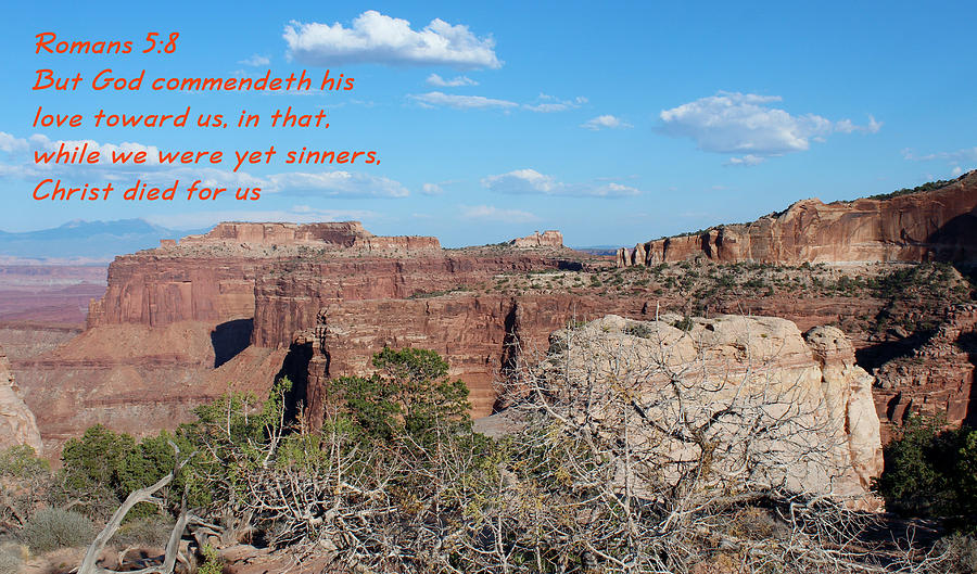 Inspirational Photograph - Romans 5-8  Canyonlands NP  by Nelson Skinner