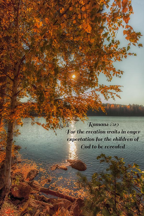 Romans 8 Verse 19 Photograph by Rose-Maries Pictures