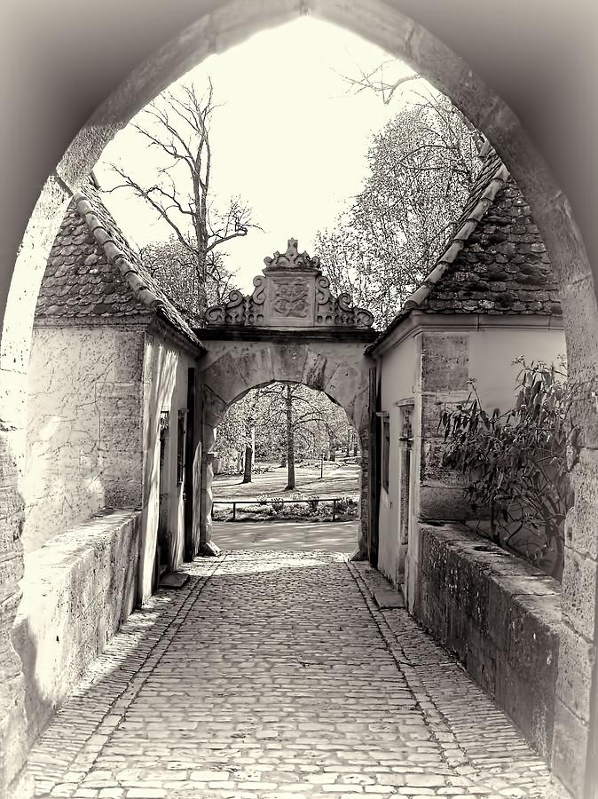 Romantic Archway Photograph by Jenny Hudson