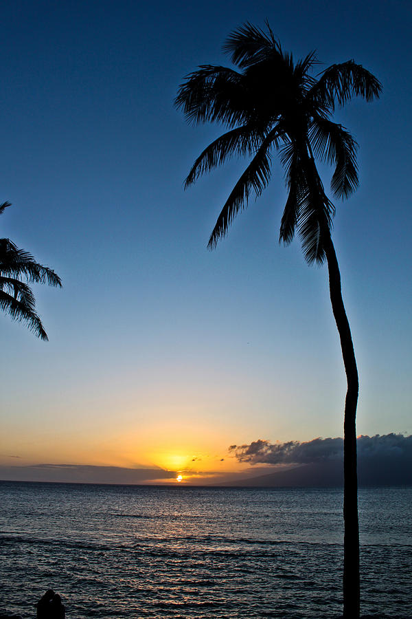 Romantic Maui Sunset Photograph by Joann Copeland-Paul