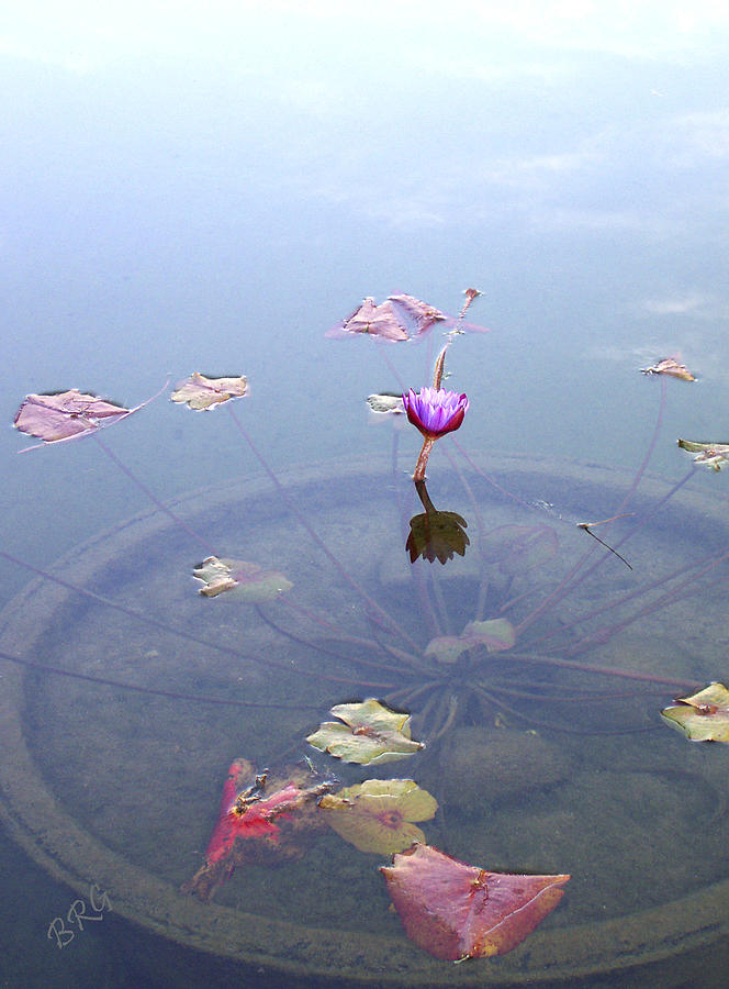 Nature Photograph - Romantic Pond by Ben and Raisa Gertsberg