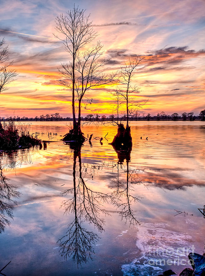 Romantic River Photograph by Mike Covington