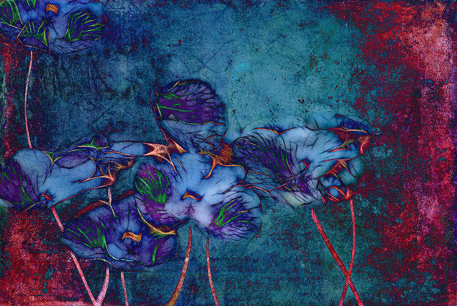 Flower Digital Art - Romantiquite -  55at22 by Variance Collections