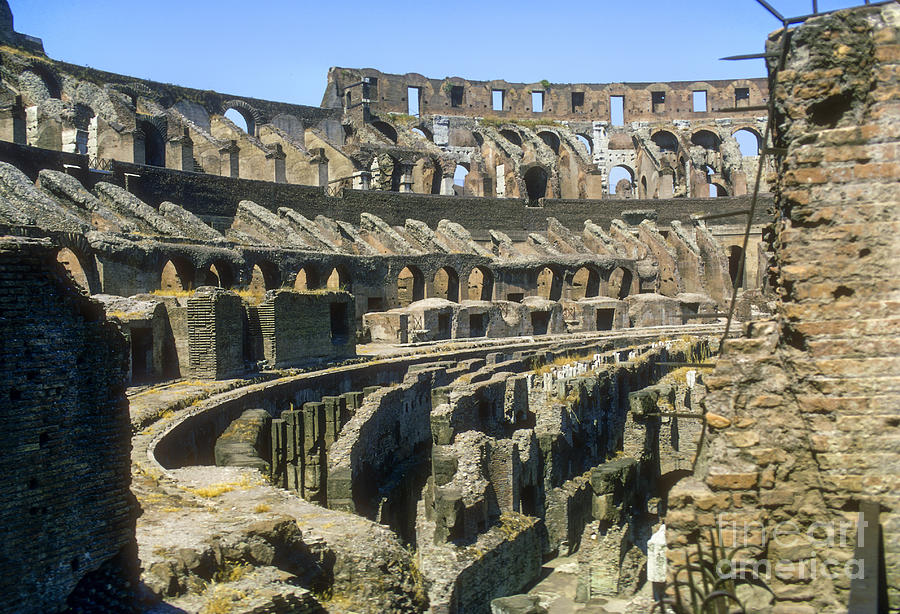 Rome Colosseum Photograph by Bob Phillips