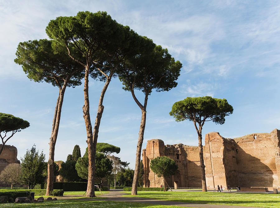 Rome, Italy. Terme Di Caracalla, Or Photograph by Panoramic Images ...