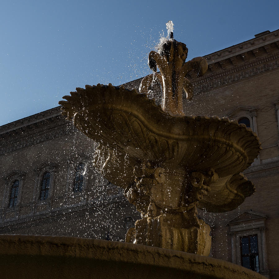 Romes Fabulous Fountains - Piazza Farnese Fountain Photograph by Georgia Mizuleva