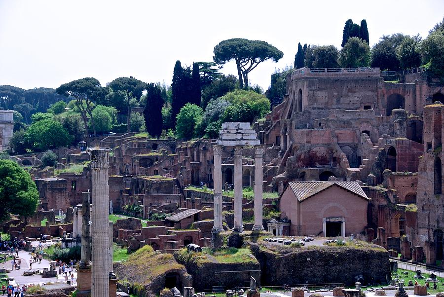 Romes Forum Photograph by Eric Tressler