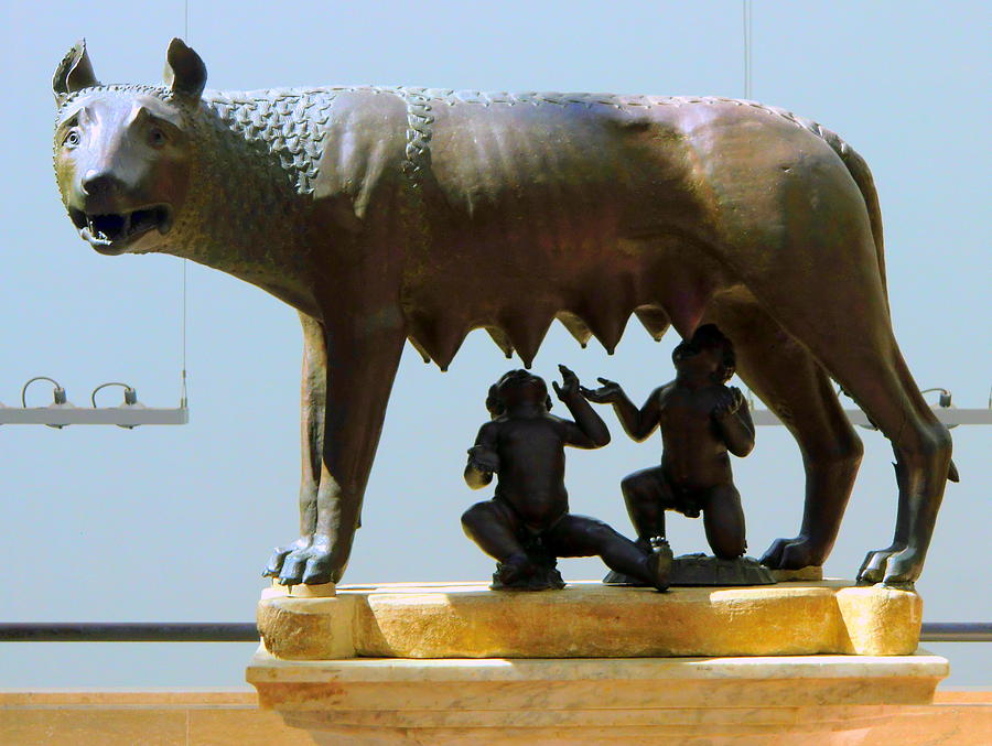 Romulus and Remus Photograph by Mindy Newman