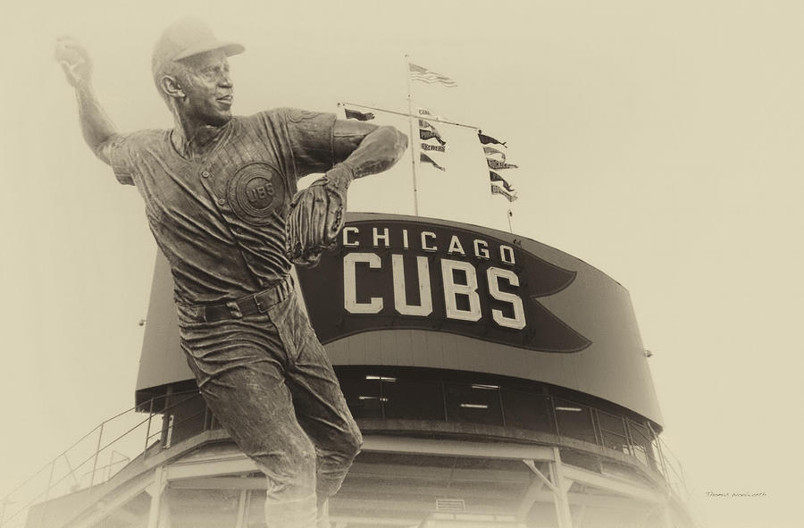 Ernie Banks Photograph - Ron Santo Chicago Cub Statue In Heirloom Finish by Thomas Woolworth