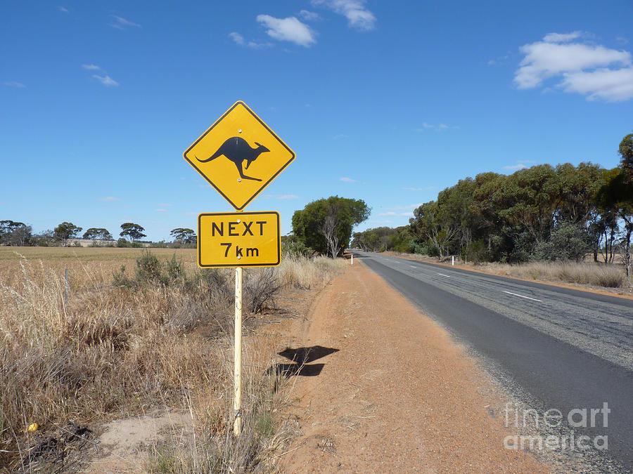 Roo Warning - Western Australia Photograph by Phil Banks
