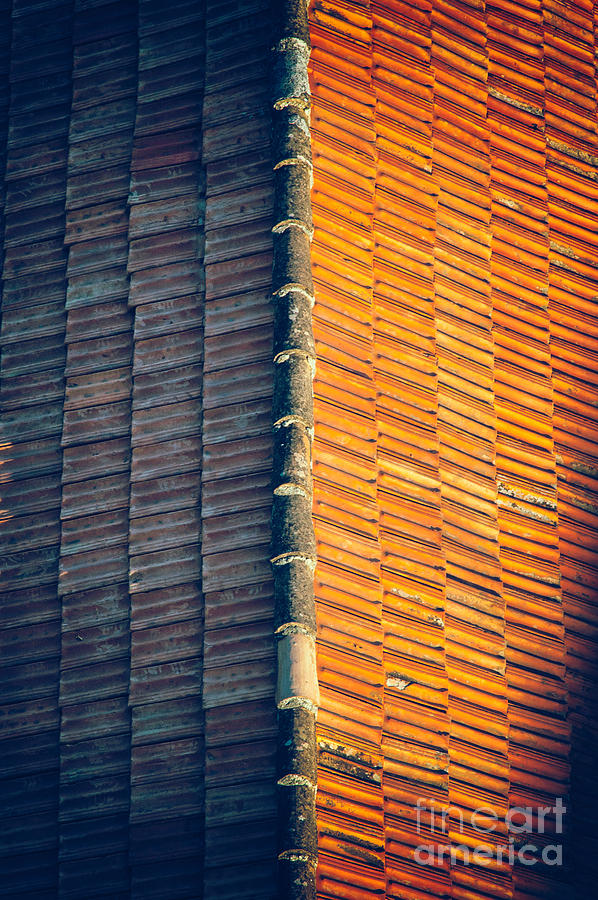 Roof tiles Photograph by Silvia Ganora
