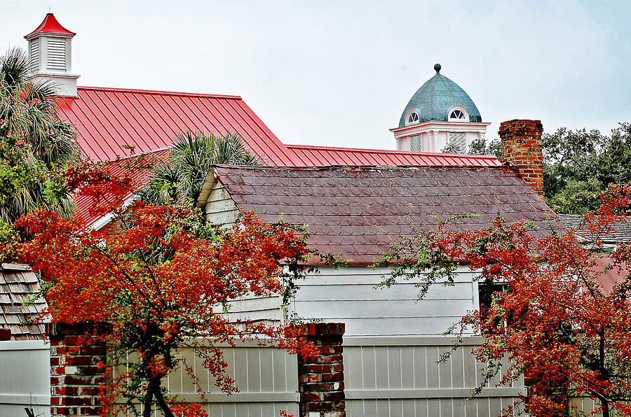 Rooflines Photograph by Linda Brown