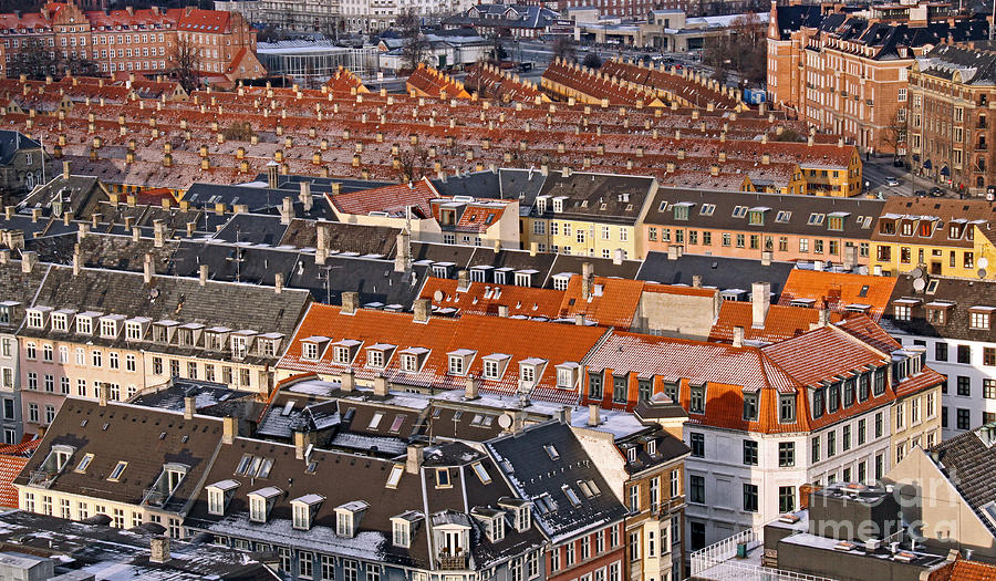 Roofs of Copenhagen Photograph by Inge Riis McDonald