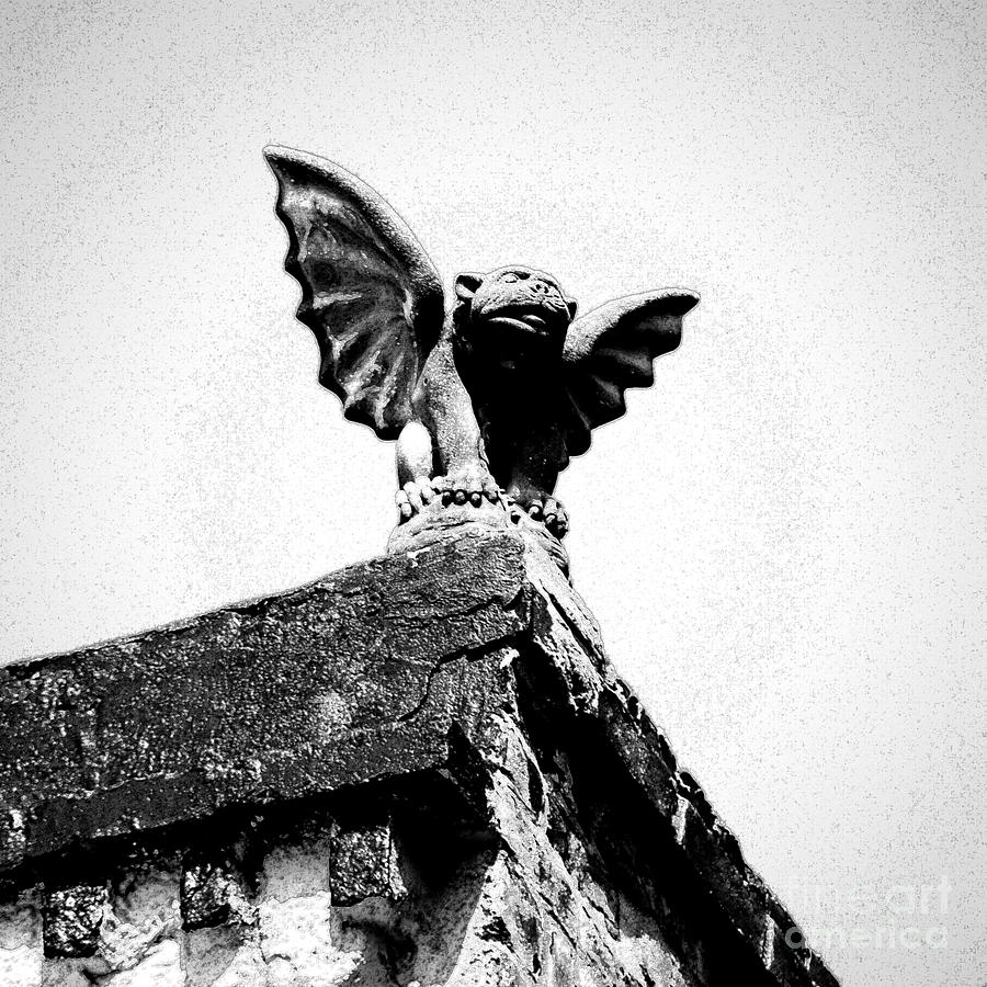 Rooftop Gargoyle Statue above French Quarter New Orleans Black and White Ink Outlines Digital Art Photograph by Shawn OBrien