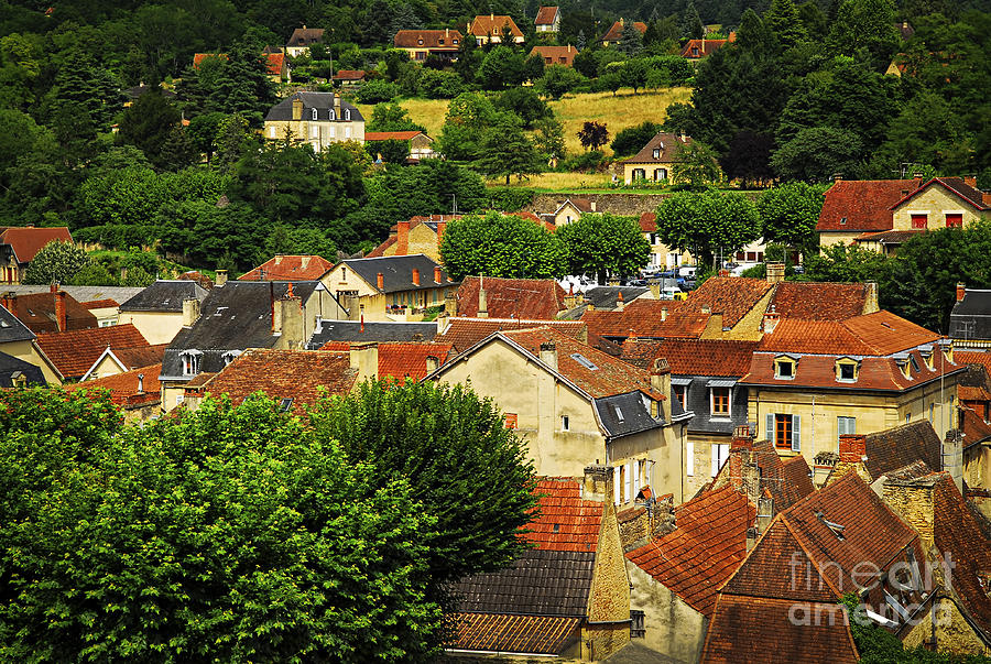 Architecture Photograph - Rooftops in Sarlat by Elena Elisseeva